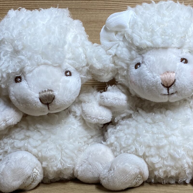 Kuscheltier BABY MACK & BABY MOLLY, kleine weiche Schafe