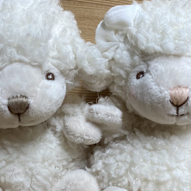 Kuscheltier BABY MACK & BABY MOLLY, kleine weiche Schafe