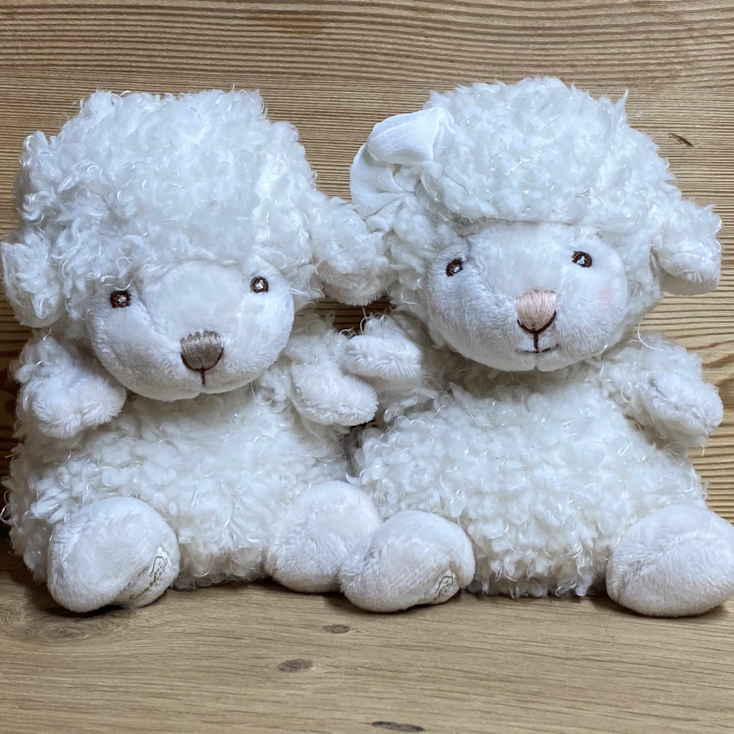 Kuscheltier BABY MACK & BABY MOLLY, kleine weiche Schafe Kuscheltier BABY MACK & BABY MOLLY, kleine weiche Schafe